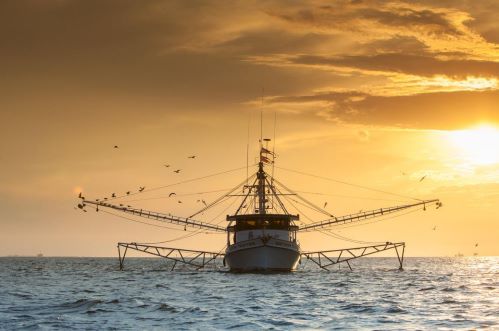 Shrimp Boat - Mobile Bay - Public Domain.JPG